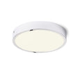 HUE R 22 DIM DECKENLEUCHTE